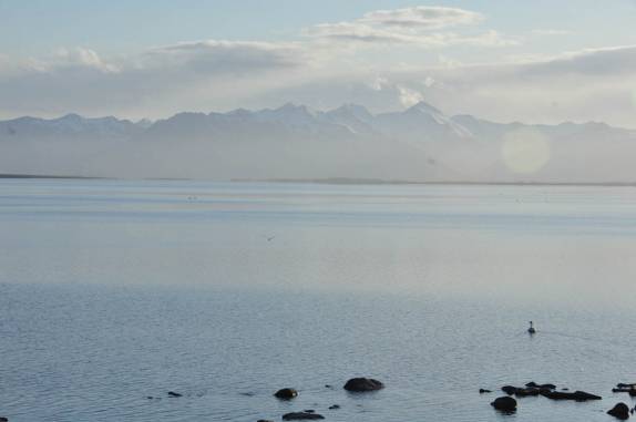 O maior fiorde do sul da Islândia, a caminho de Breidalsvík